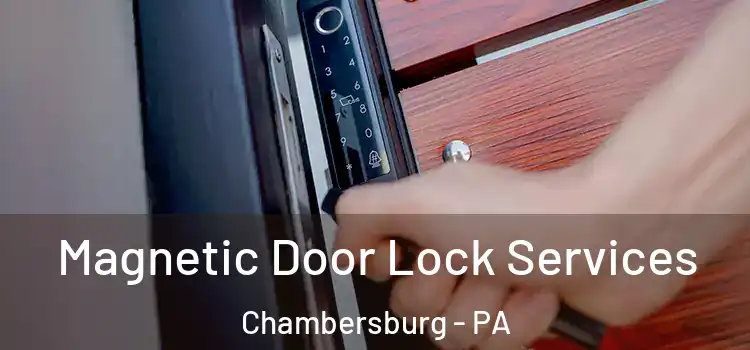 Magnetic Door Lock Services Chambersburg - PA